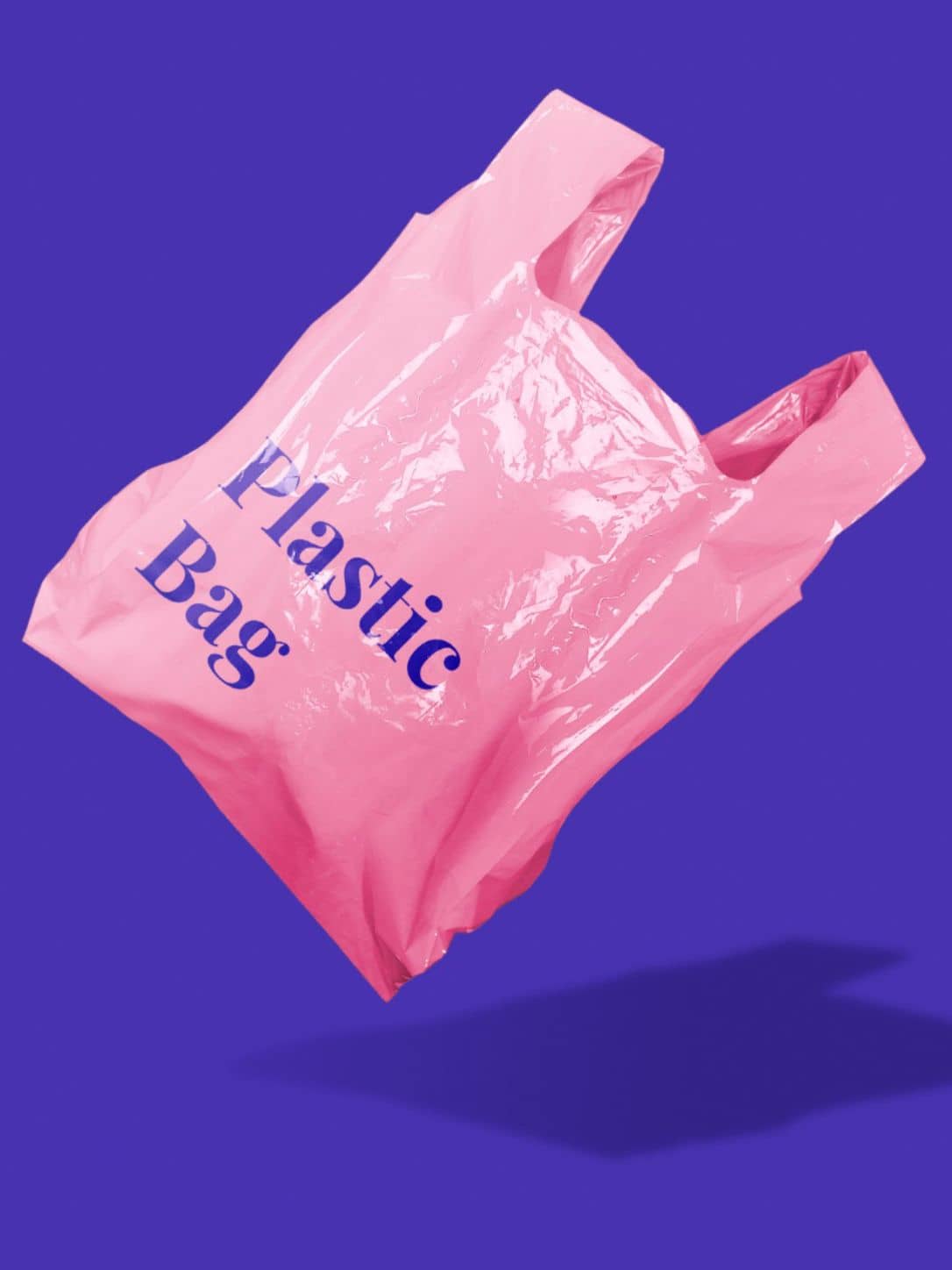 sac en plastique